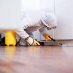 What Is The Best Time To Control A Pest Control Company In Oklahoma5