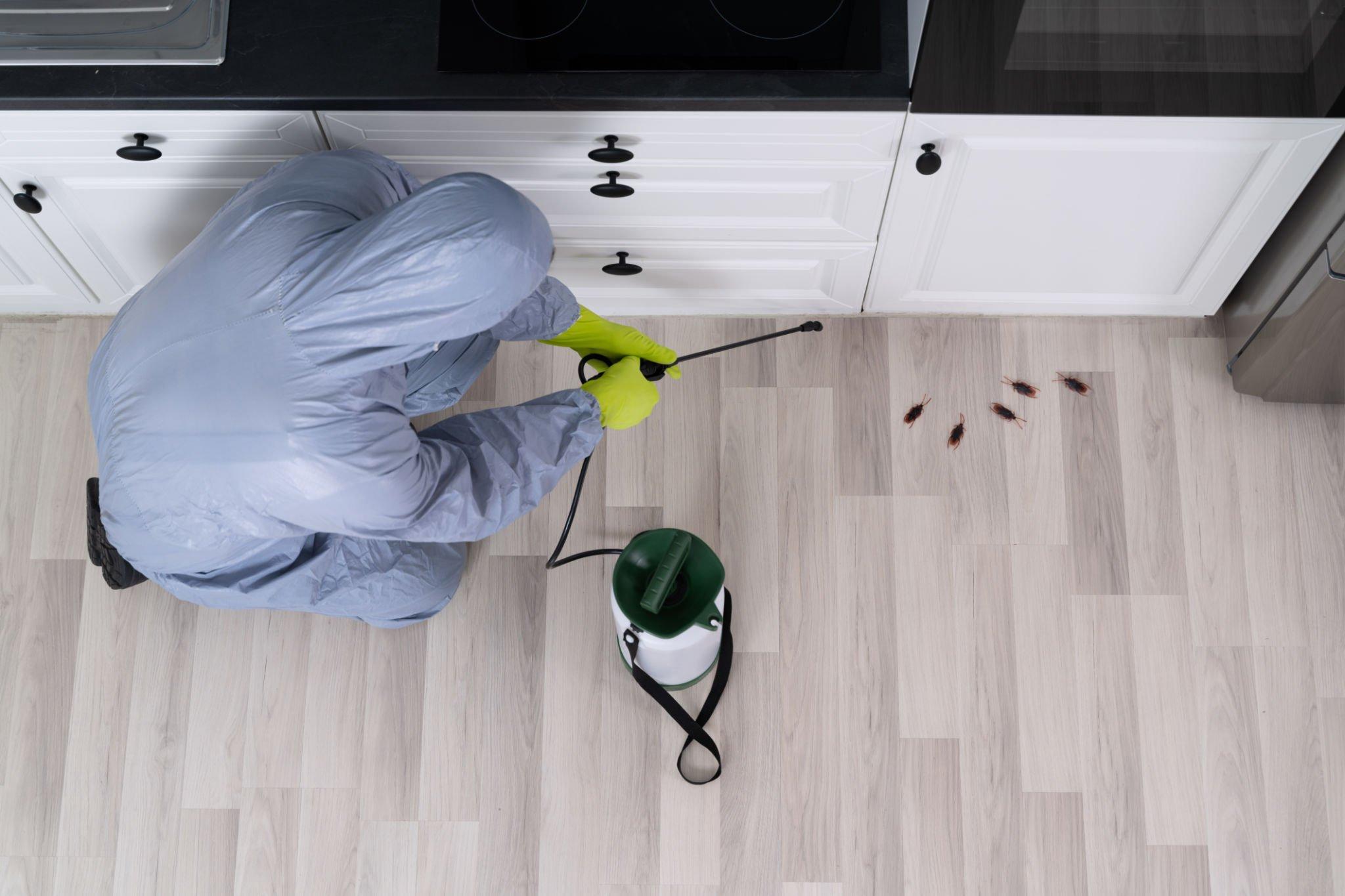 Is Pest Control Worth It? Top Benefits of Pest Control Services